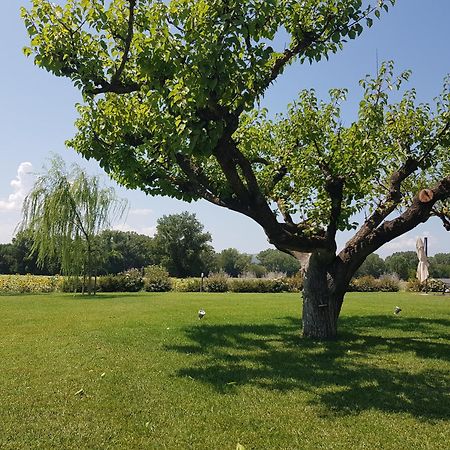 Agriturismo Villa Al Piano تودي المظهر الخارجي الصورة