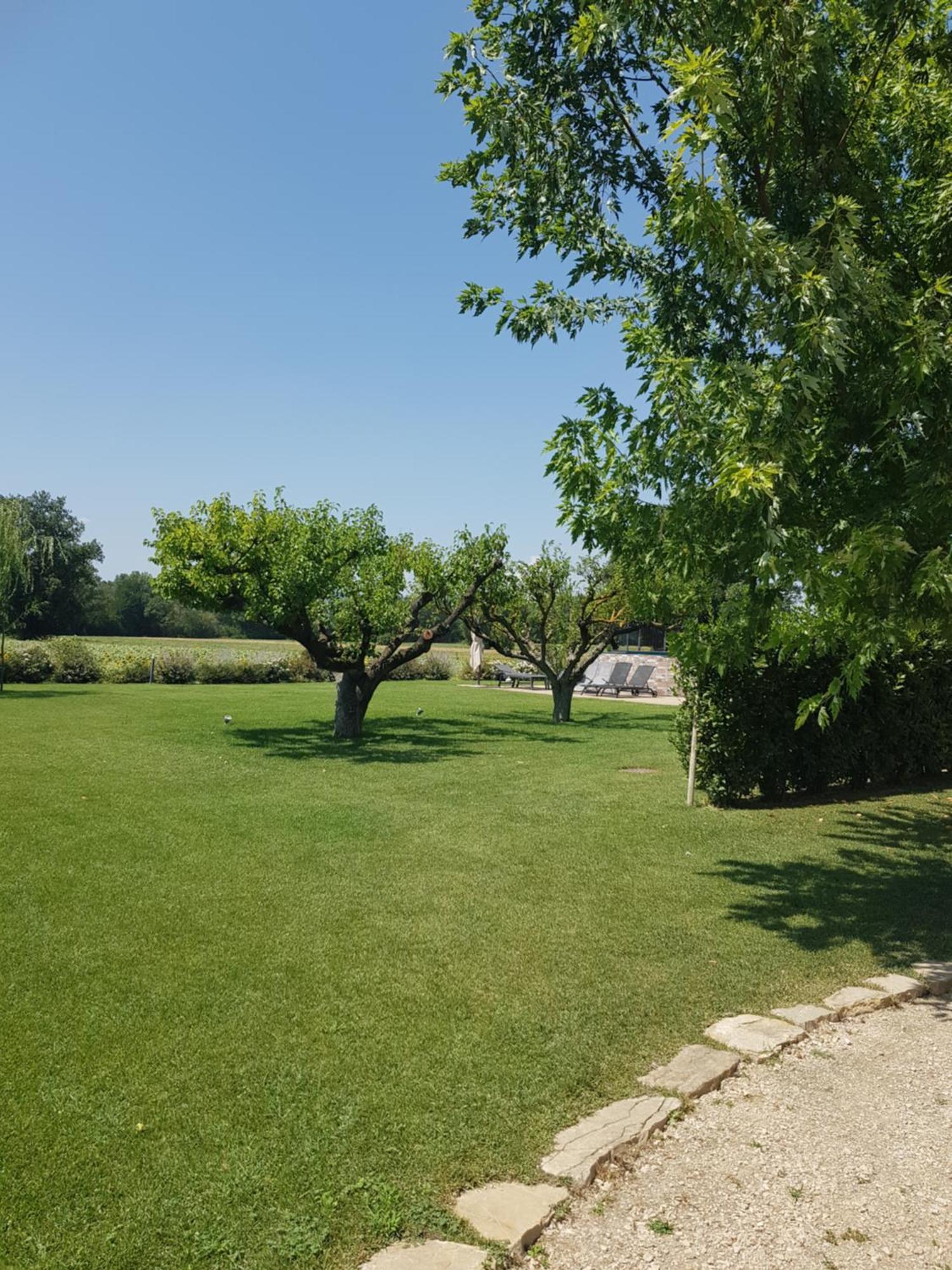 Agriturismo Villa Al Piano تودي المظهر الخارجي الصورة