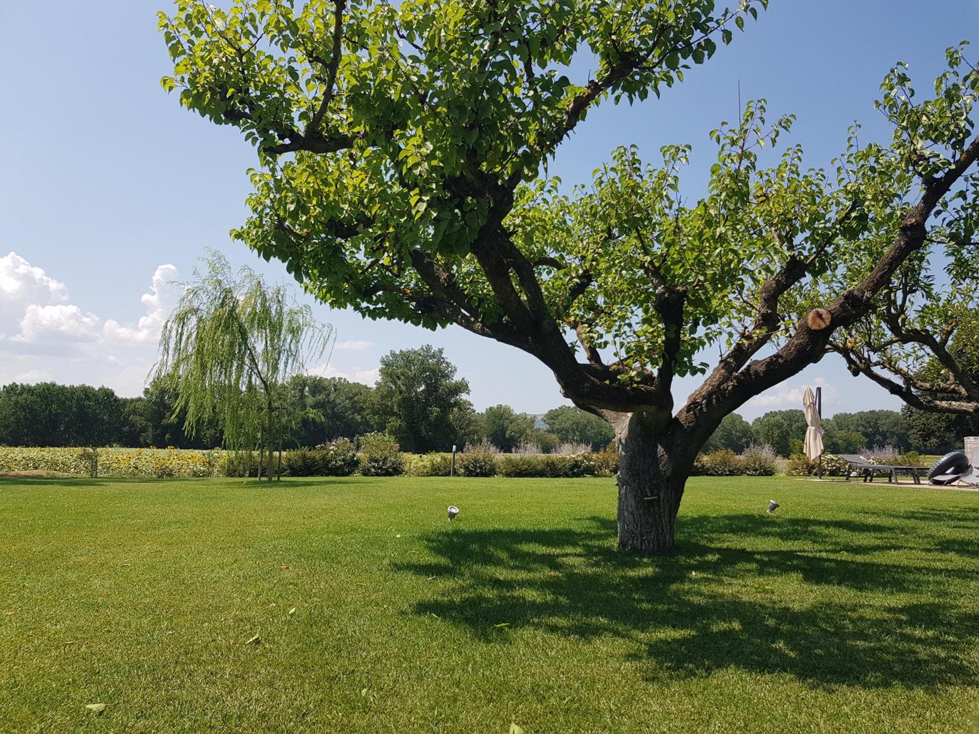 Agriturismo Villa Al Piano تودي المظهر الخارجي الصورة