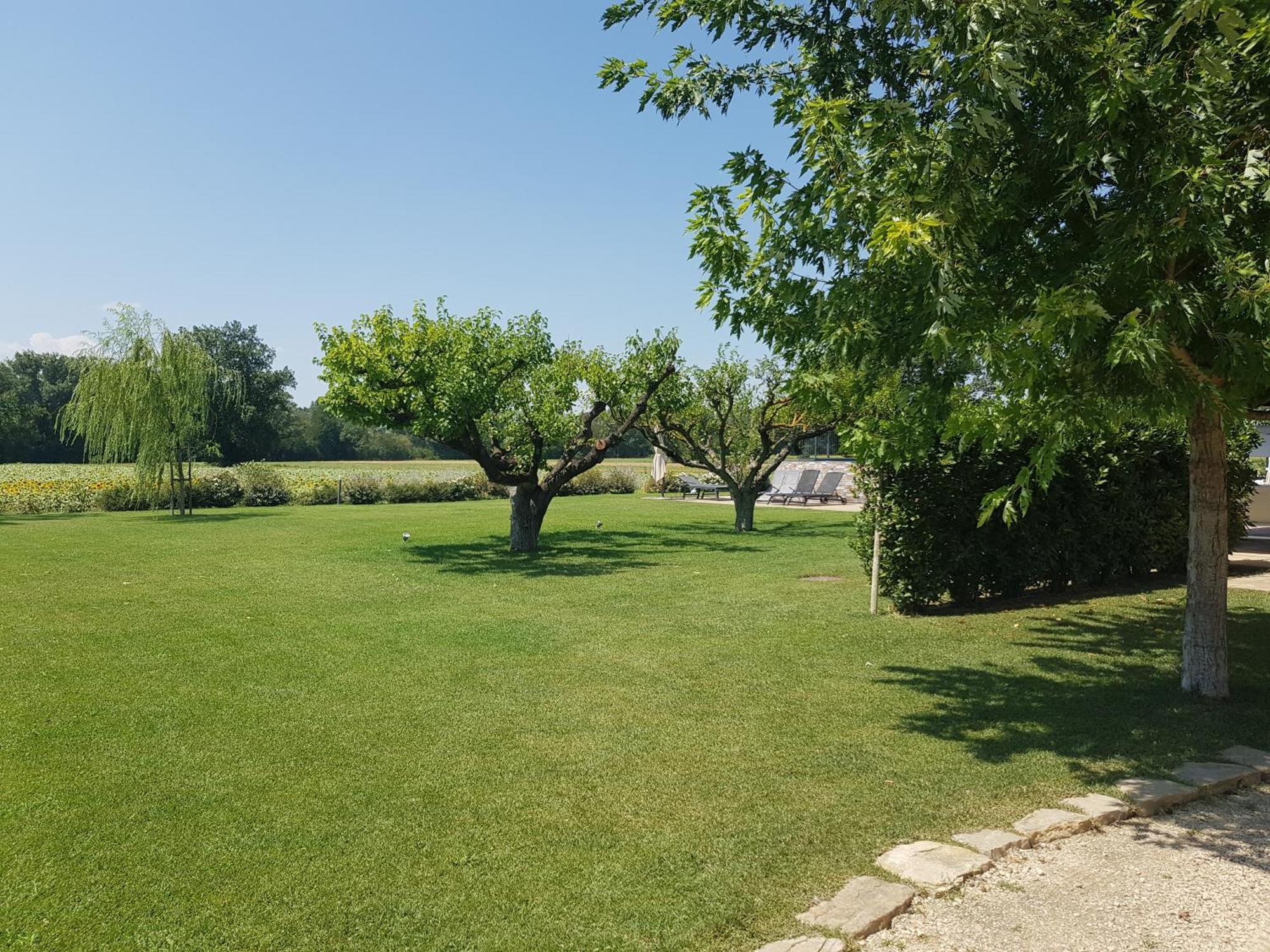 Agriturismo Villa Al Piano تودي المظهر الخارجي الصورة