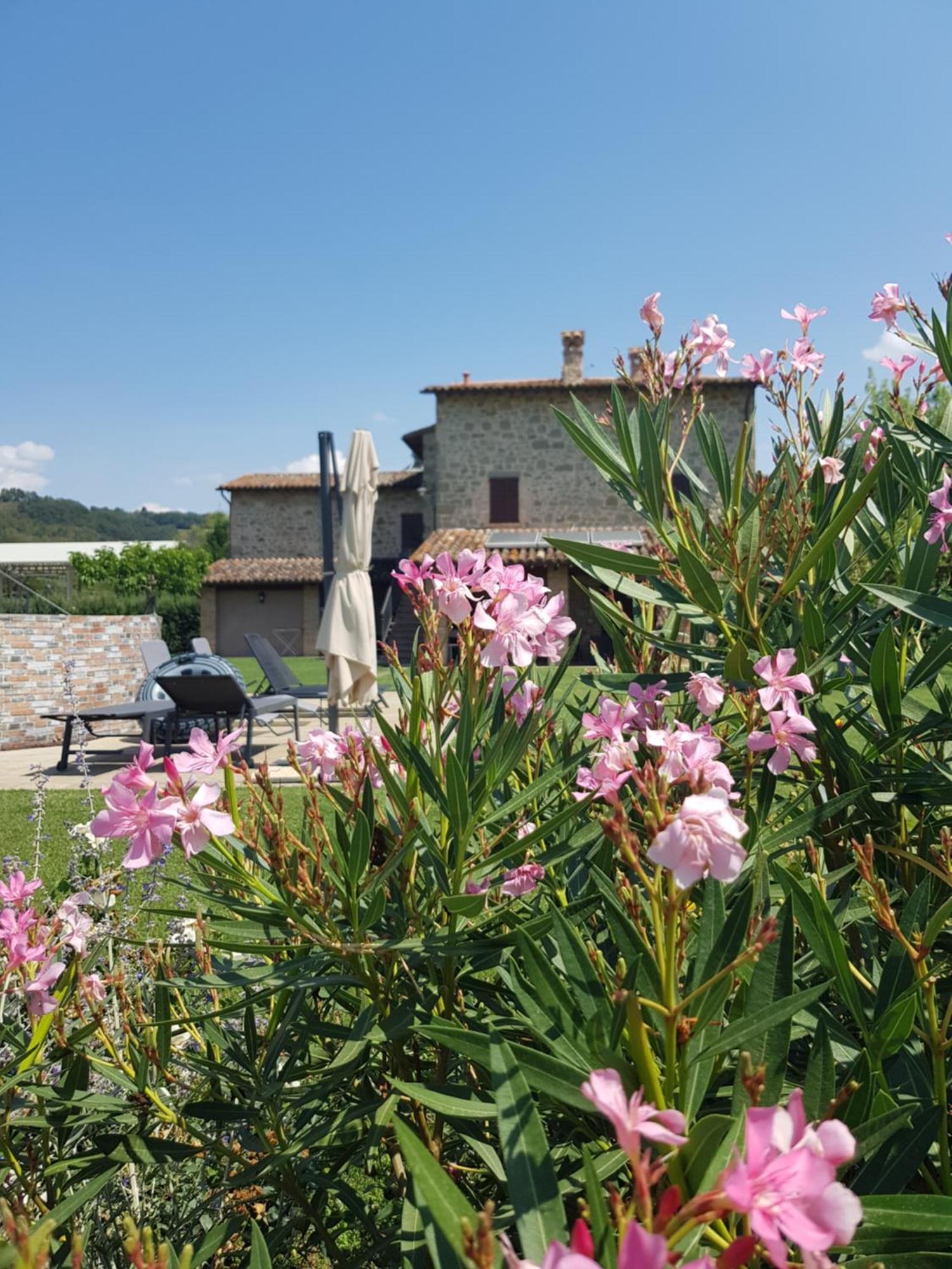 Agriturismo Villa Al Piano تودي المظهر الخارجي الصورة