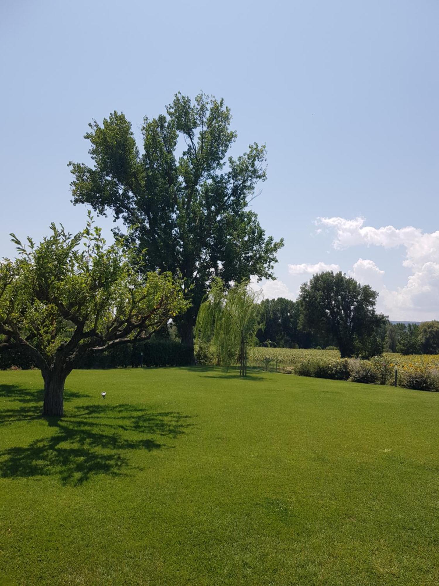 Agriturismo Villa Al Piano تودي المظهر الخارجي الصورة